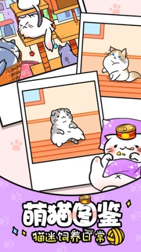 猫咪公寓游戏截图5