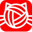 皮小猫